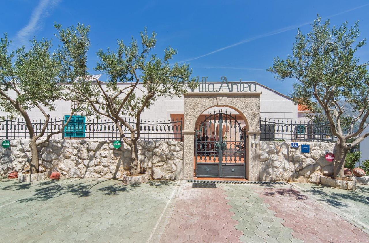 Villa Antea Apartments Dubrovnik Exterior photo